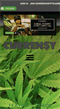 Mobile Screenshot of currensyspitta.com